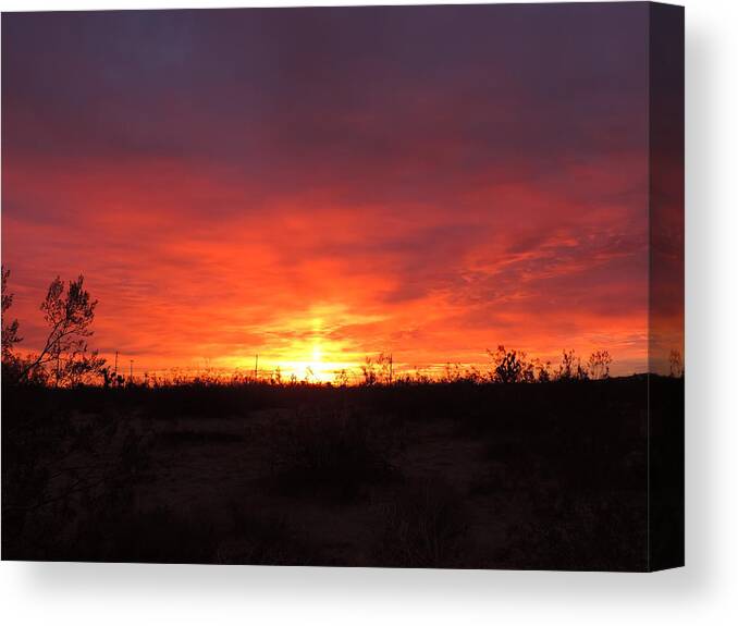 Sunrise Canvas Print featuring the photograph Sunrise From My Backyard 3-7-2018 by Enaid Silverwolf