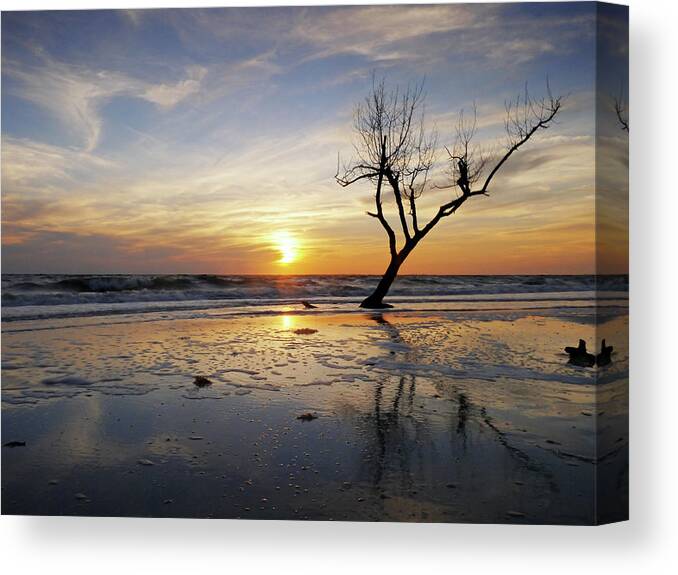 Scenics Canvas Print featuring the photograph Sunset With Dead Tree At Seaside by Bernd Schunack