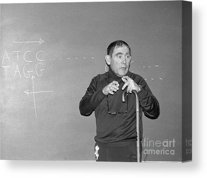 Biologist Canvas Print featuring the photograph Sydney Brenner by Dr Rob Stepney/science Photo Library