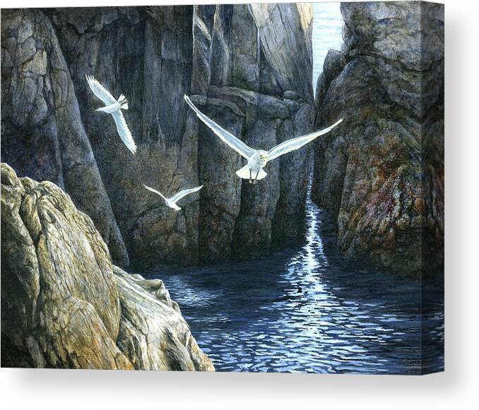 The Gulls Of Puplit Rock Canvas Print featuring the painting The Gulls Of Puplit Rock by John Morrow