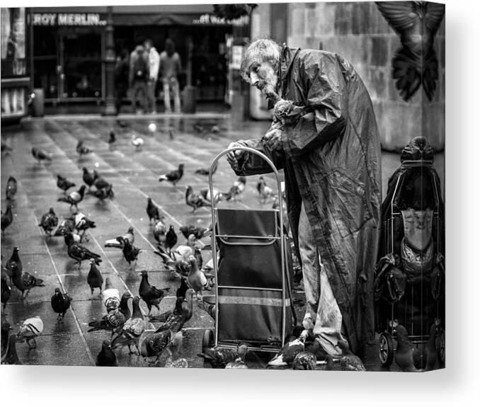 Street Canvas Print featuring the photograph The Pigeon Man by Nicolas Winspeare