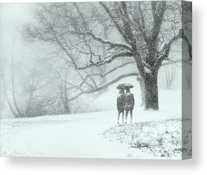 Landscape Canvas Print featuring the photograph Through The Snowfall by Maxim Makunin