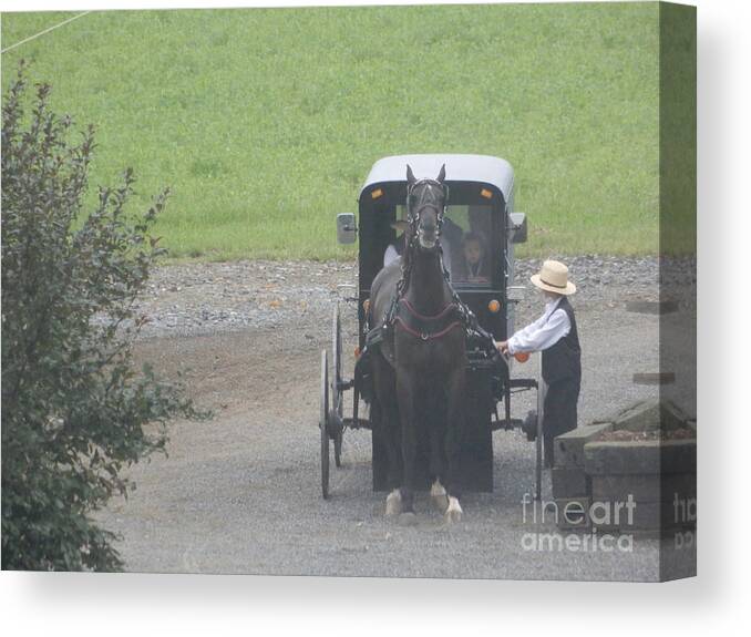 Amish Canvas Print featuring the photograph Unhitching the Horse by Christine Clark