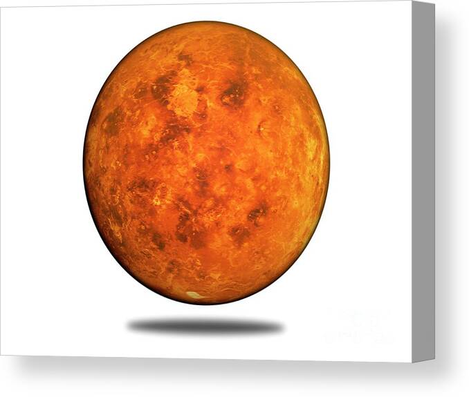 Venus Canvas Print featuring the photograph Venus by Freelanceimages/universal Images Group/science Photo Library