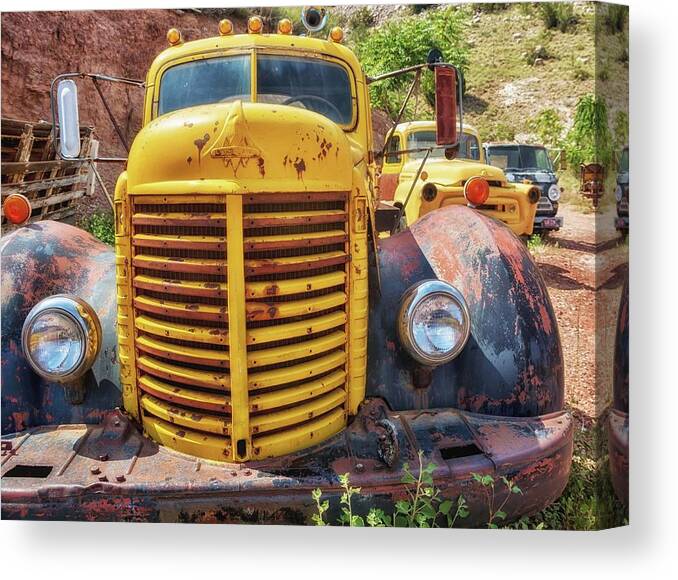 Cars Canvas Print featuring the photograph Vintage Beauty 7 by Marisa Geraghty Photography