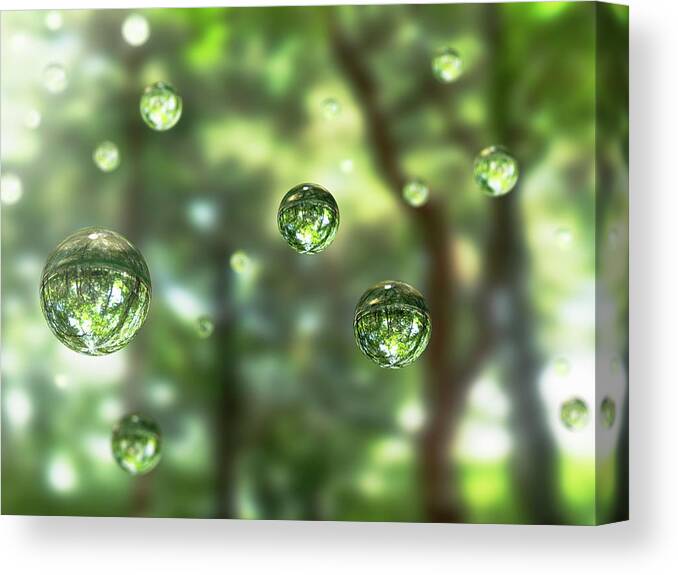 Tranquility Canvas Print featuring the photograph Water Drops In The Forest by Hiroshi Watanabe