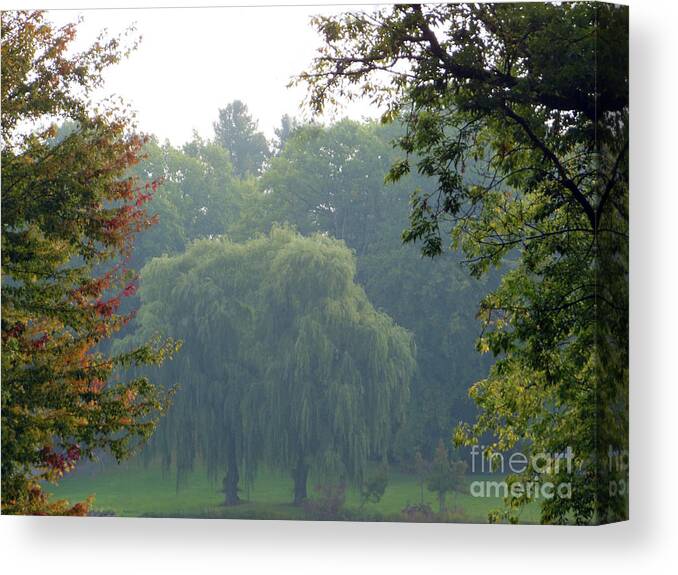 Weeping Willow Canvas Print featuring the photograph Weeping Willow Trees by Rockin Docks