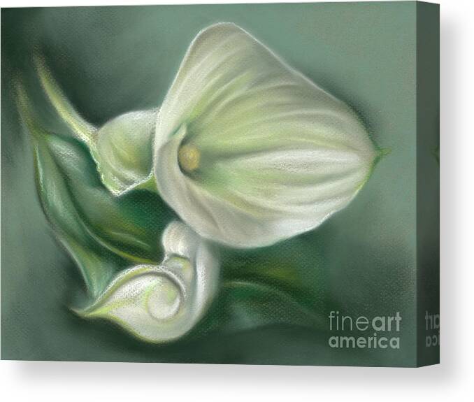 Botanical Canvas Print featuring the painting White Callas with Leaf by MM Anderson
