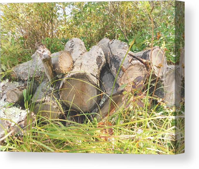 Firewood For Warmth During Those Cold Poconos Winters Canvas Print featuring the photograph Firewood For Warmth During Those Cold Poconos Winters by Barbra Telfer