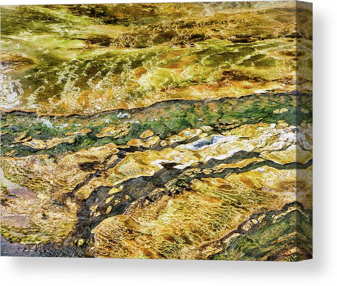 Abstract Canvas Print featuring the photograph Yellowstone 2 by Segura Shaw Photography