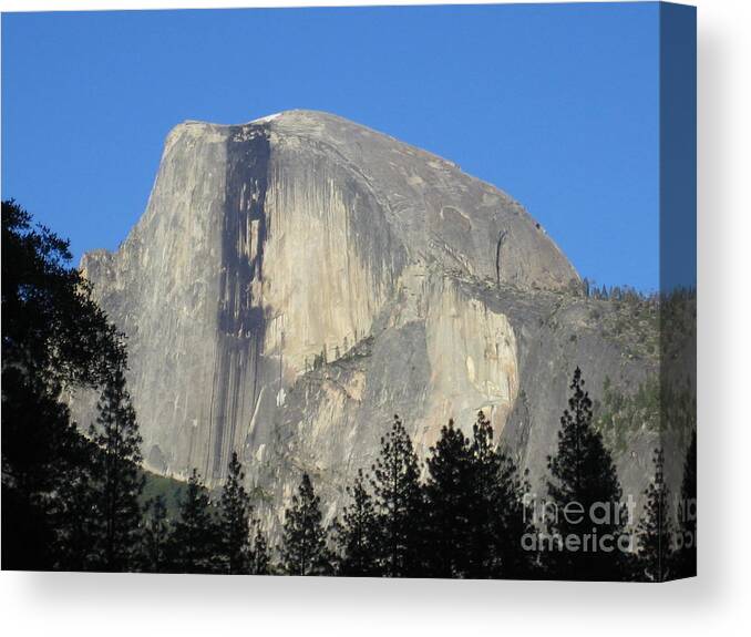 Yosemite Canvas Print featuring the photograph Yosemite National Park Half Dome Rock by John Shiron