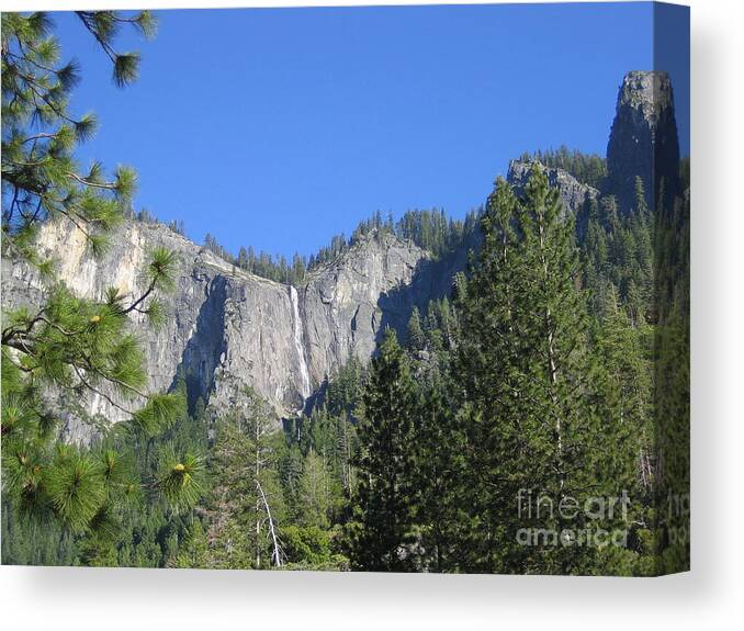 Yosemite Canvas Print featuring the photograph Yosemite National Park Waterfall and Mountain Range with Trees in the Foreground by John Shiron