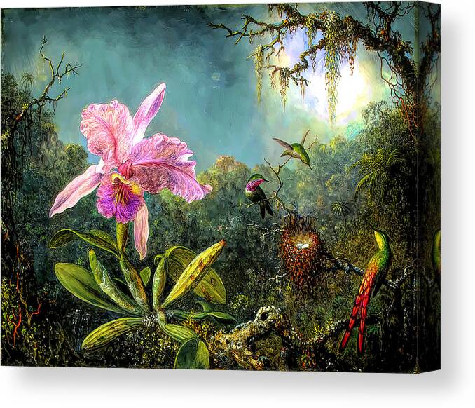 Cattleya Orchid And Three Brazilian Hummingbirds Canvas Print featuring the painting Cattleya Orchid and Three Brazilian Hummingbirds by Martin Johnson Heade
