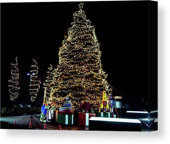 Christmas Tree Canvas Print featuring the photograph Christmas Tree #1 by Louis Dallara