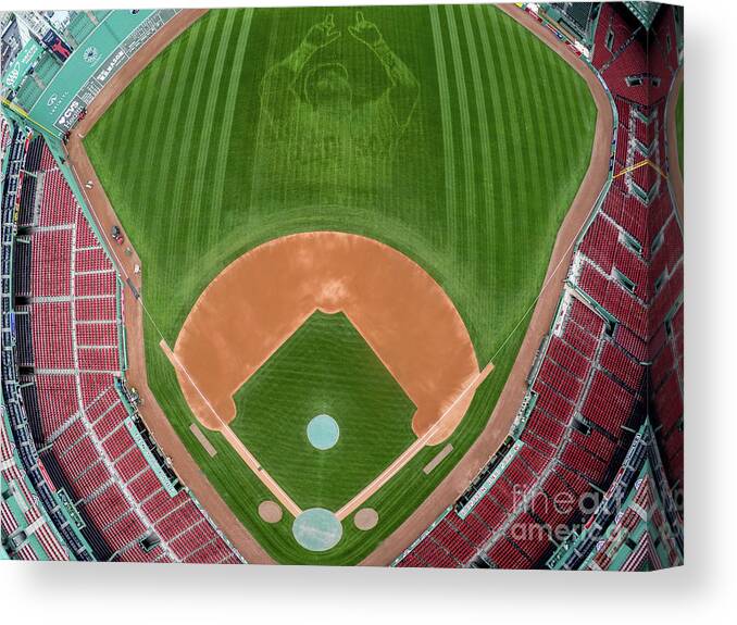 Grass Canvas Print featuring the photograph David Ortiz by Billie Weiss/boston Red Sox