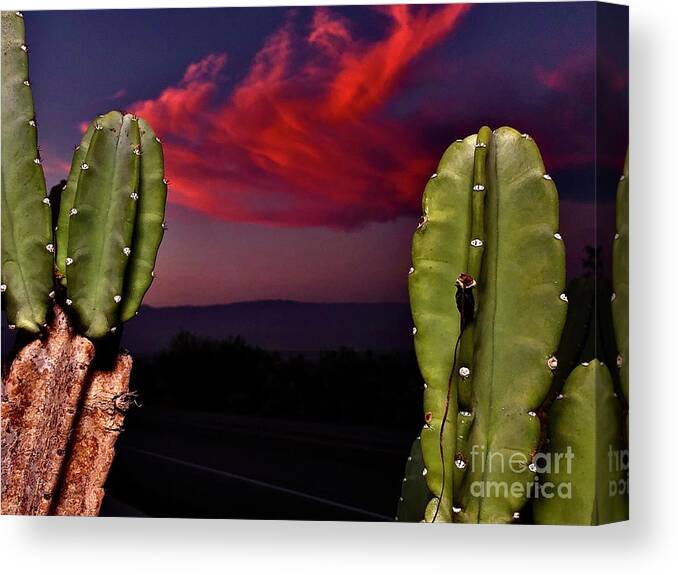 Sunset Canvas Print featuring the pyrography Desert Sunset #2 by Chris Tarpening