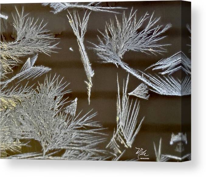  Canvas Print featuring the photograph Ice crystals #1 by Meta Gatschenberger