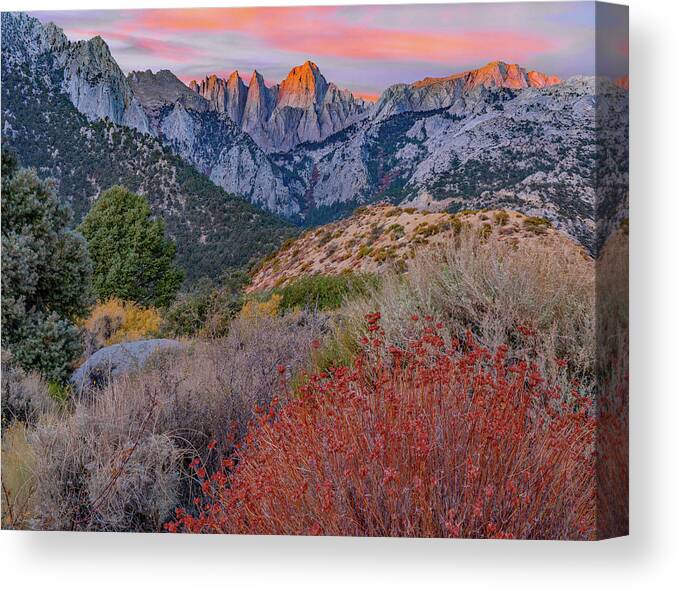 Tim Fitzharris Canvas Print featuring the photograph Mount Whitney, Sequoia National Park, California, USA #1 by Tim Fitzharris