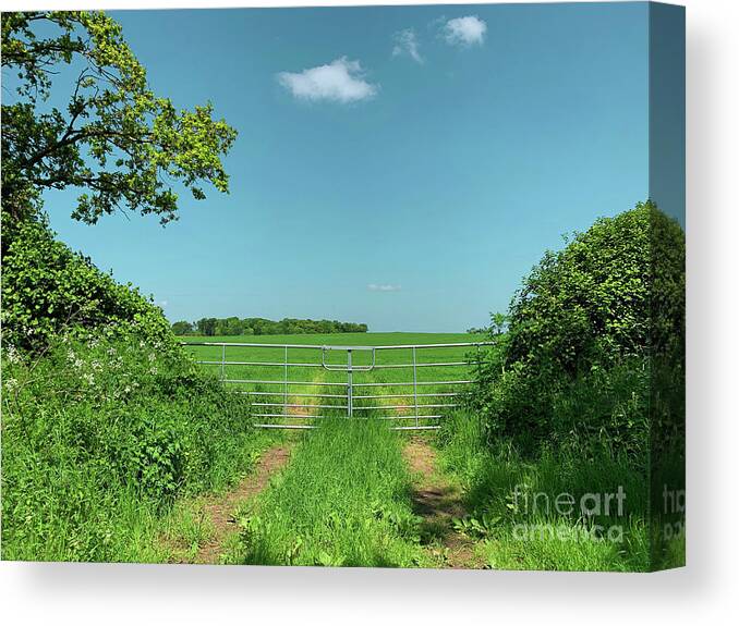 Agricultural Canvas Print featuring the photograph Rural summer scene #1 by Tom Gowanlock