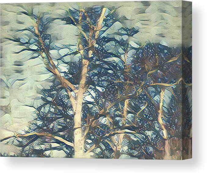 Sky Canvas Print featuring the mixed media Winter Branches #2 by Christopher Reed