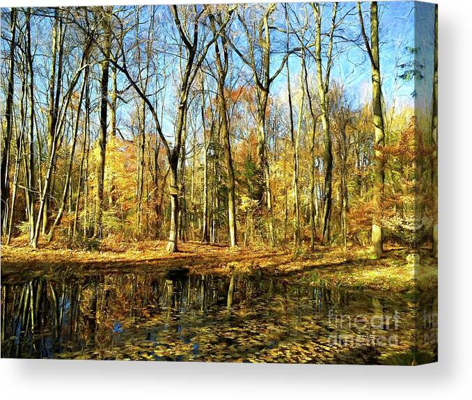 Woods Canvas Print featuring the photograph You Got To Feel It #1 by Xine Segalas
