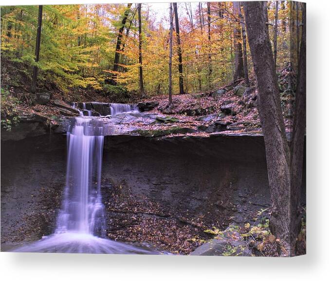  Canvas Print featuring the photograph Blue Hen Falls by Brad Nellis