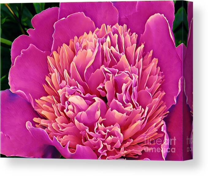 Flowers Canvas Print featuring the painting Peony #3 by Marilyn Smith