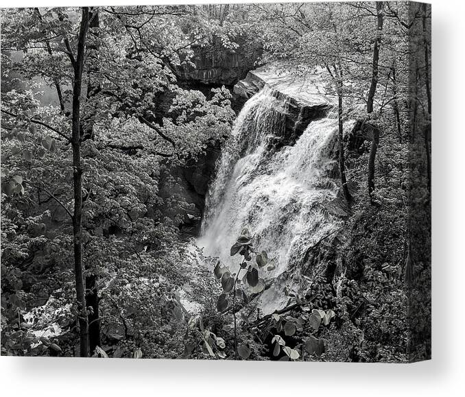  Canvas Print featuring the photograph Brandywine Falls by Brad Nellis