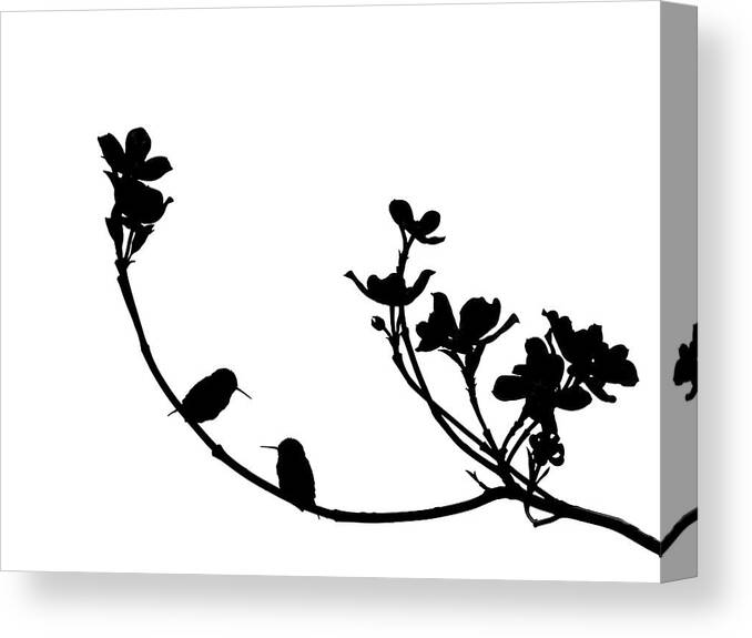 Silhouette Art Canvas Print featuring the digital art A Little Conversation by Catherine Jeltes