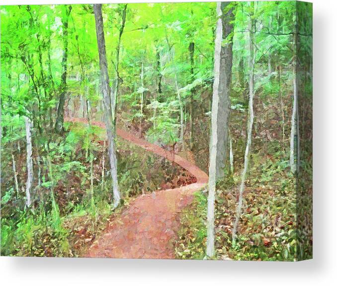 Forest Canvas Print featuring the digital art A Trail Through the Woods by Digital Photographic Arts