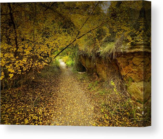 Autumnal Canvas Print featuring the photograph A True Autumn Day by Laura Putman