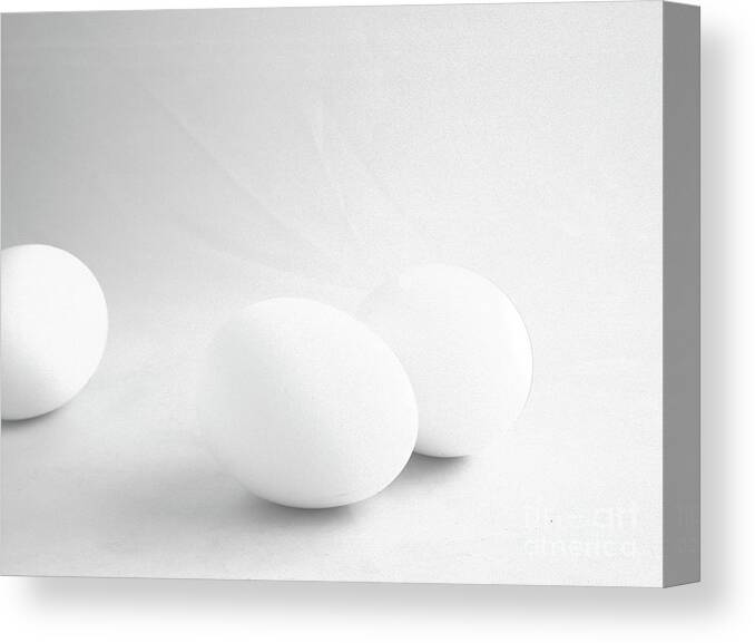 Eggs Canvas Print featuring the photograph Almost a Trio by Kae Cheatham