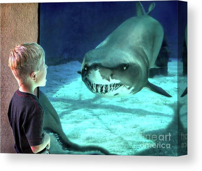 Boy Canvas Print featuring the photograph Are You Looking At Me by Jennie Breeze