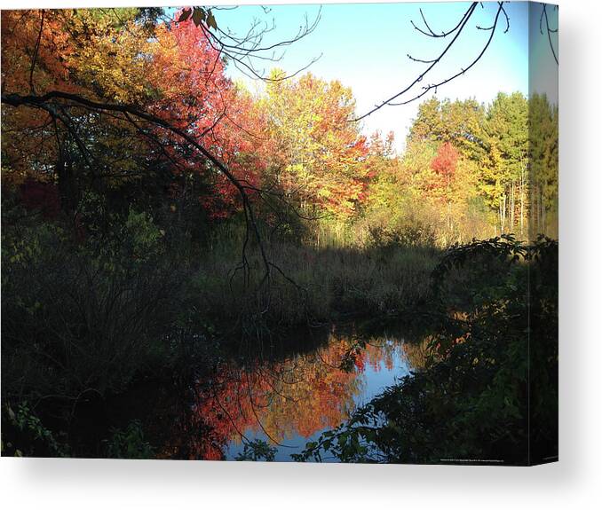 Salem Canvas Print featuring the photograph Autumn in Salem by Roxy Rich