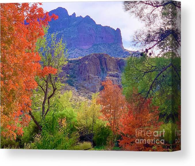 Autumn In Superior Arizona Canvas Print featuring the digital art Autumn in Superior Arizona by Tammy Keyes