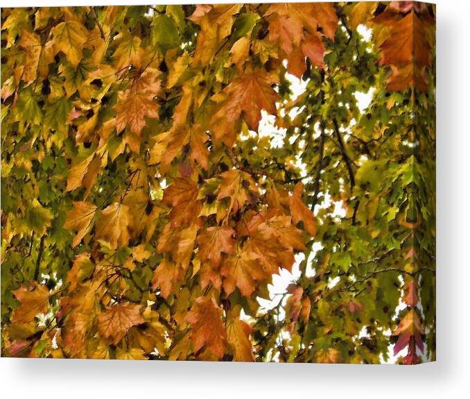 Autumn Canvas Print featuring the mixed media Autumn Leaves by Christopher Reed