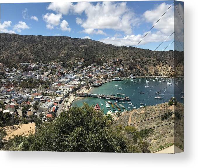 Avalon Canvas Print featuring the photograph Avalon 1 by Lisa White