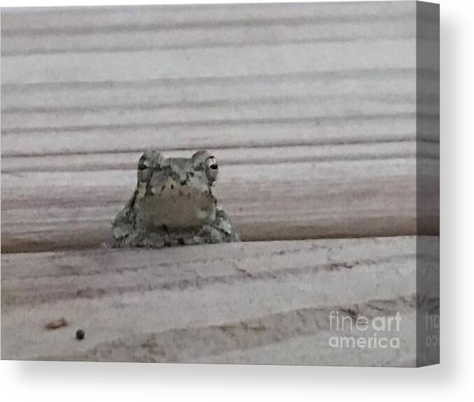 Frog Canvas Print featuring the photograph Back Porch Wood Frog by Mary Kobet