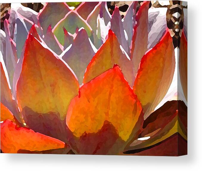 Succulent Canvas Print featuring the painting Backlit Afterglow Succulent 2 by Amy Vangsgard