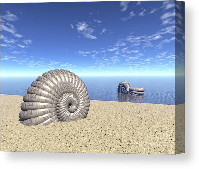Ancient Canvas Print featuring the digital art Beach of Shells by Phil Perkins