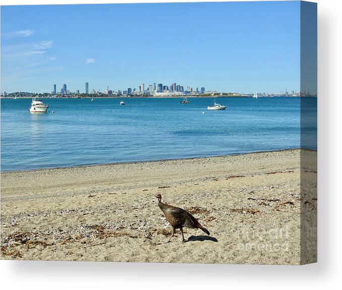 Turkey Canvas Print featuring the photograph Beach Turkey by Beth Myer Photography