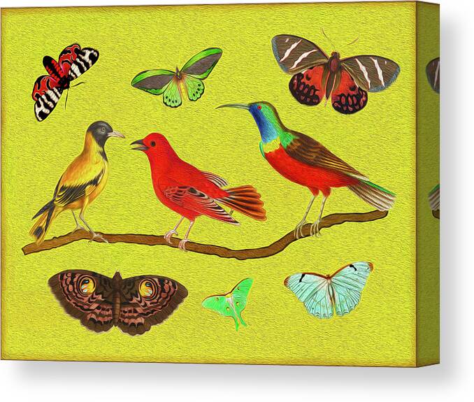 Birds Canvas Print featuring the mixed media Birds and Butterfies by Lorena Cassady