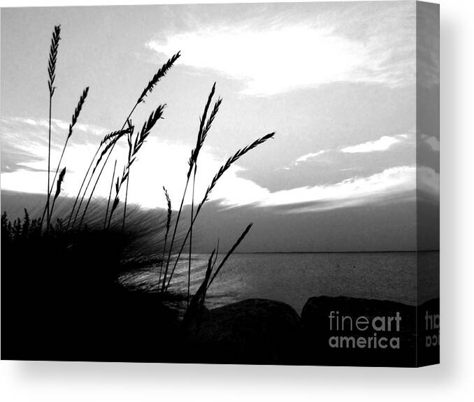 Black And White Canvas Print featuring the photograph Black and White Devils Lake North Dakota Shoreline Photograph Wall Prints by Delynn Addams