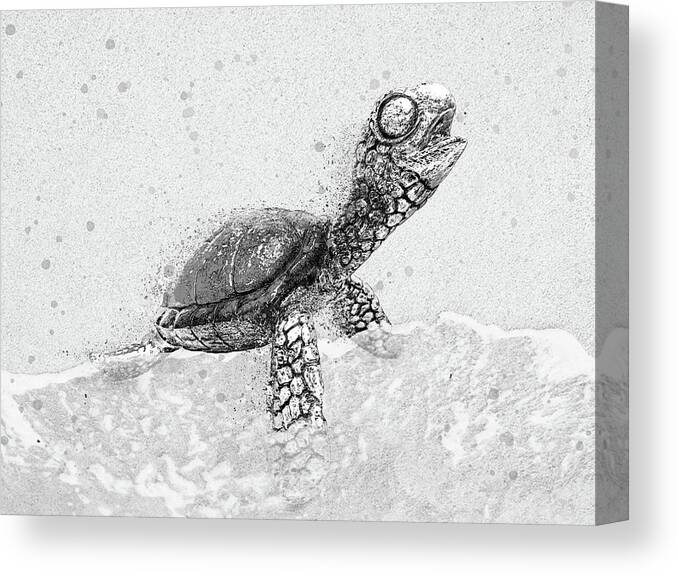 Sea Turtle On Beach Canvas Print featuring the digital art Black and White Sea Turtle on Beach by Pamela Williams