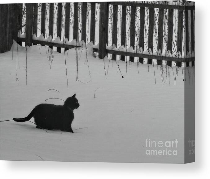 Snow Canvas Print featuring the photograph Black in White by On da Raks