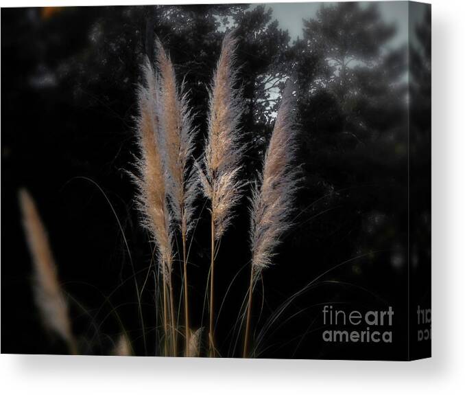 Grass Canvas Print featuring the photograph Blowing in the Wind by Judy Hall-Folde