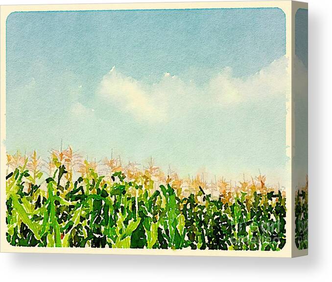 Corn Canvas Print featuring the digital art Blue Sky Corn by Wendy Golden