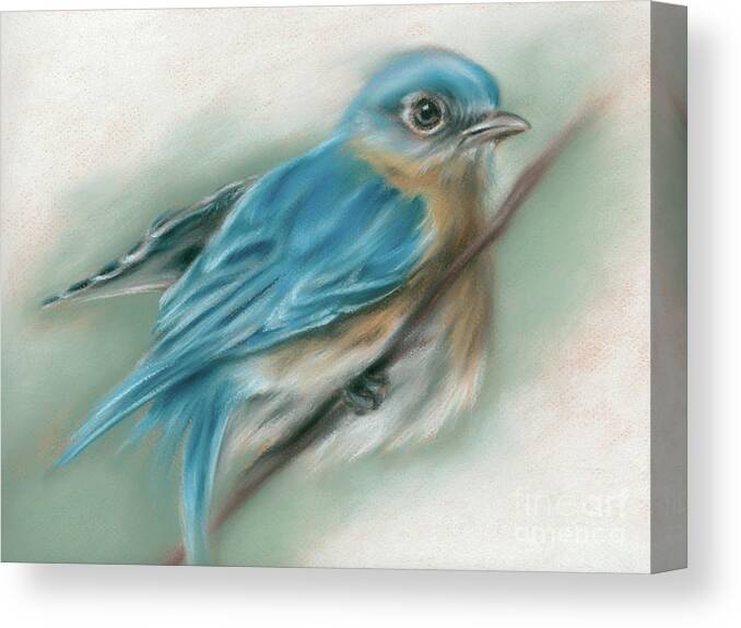 Bird Canvas Print featuring the painting Bluebird Perched on a Twig by MM Anderson