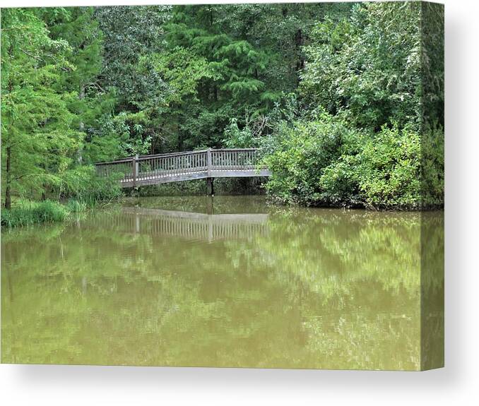 Pond Canvas Print featuring the photograph Bridging The Gap by Ed Williams