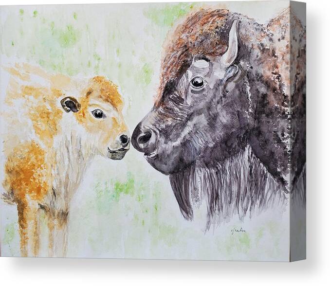 Bison Cow Canvas Print featuring the painting Bison Love - Watercolor by Claudette Carlton